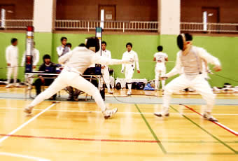 fencing-2.jpg